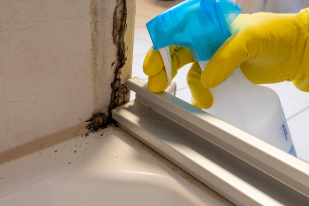 Best Office Mold Removal Services  in Douglass, KS