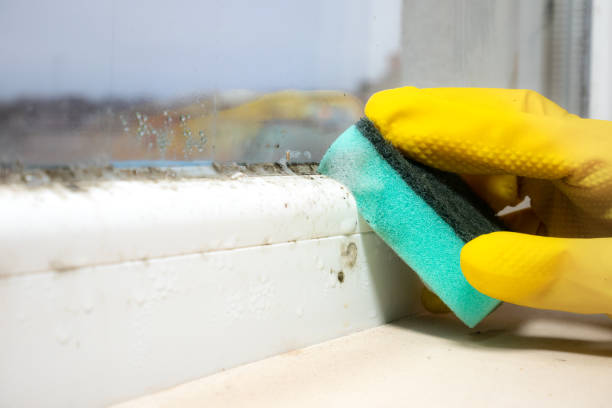Best Residential Mold Removal  in Douglass, KS